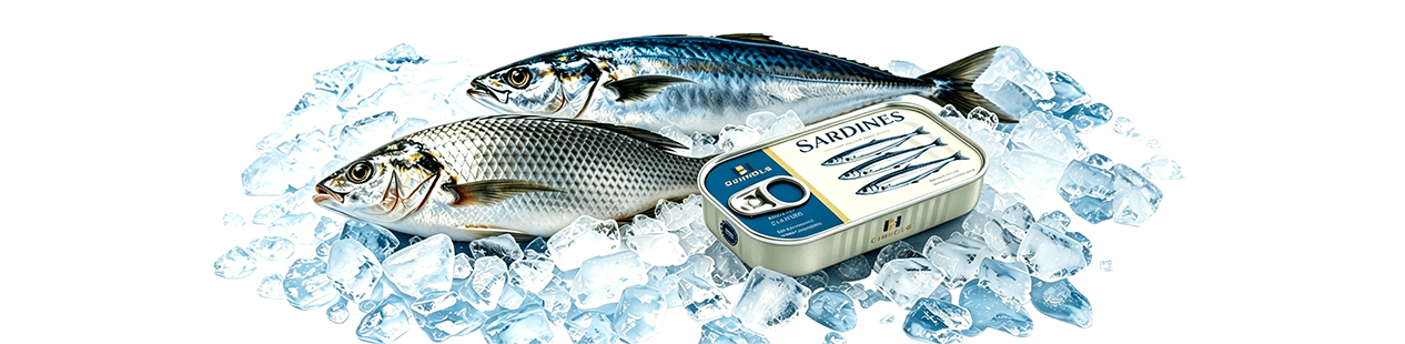 Bulk Frozen Seafood & Canned Fish Factory Exporter