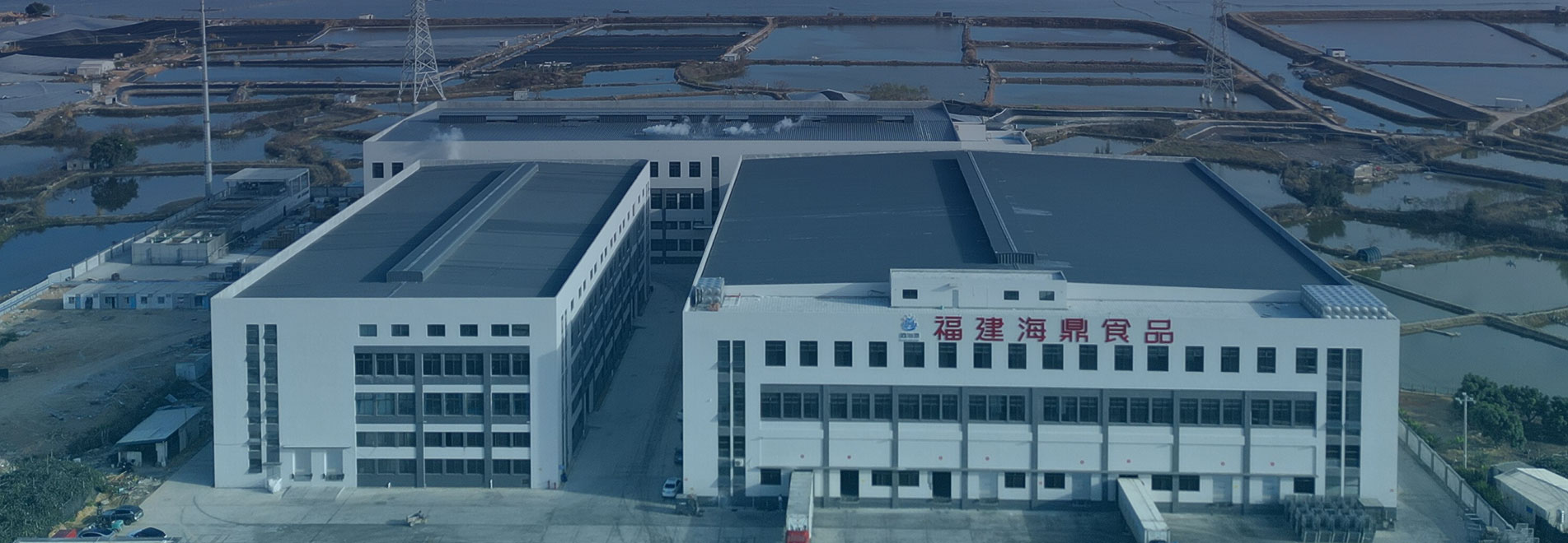 Bulk Frozen Seafood Exporter