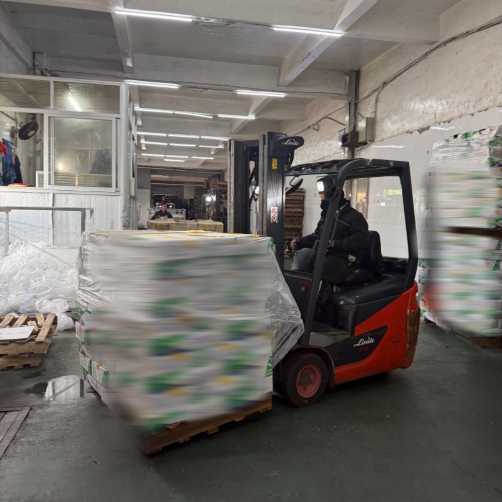 Delivering Premium Frozen Tilapia to the Benin Market via Digital Factory Verification