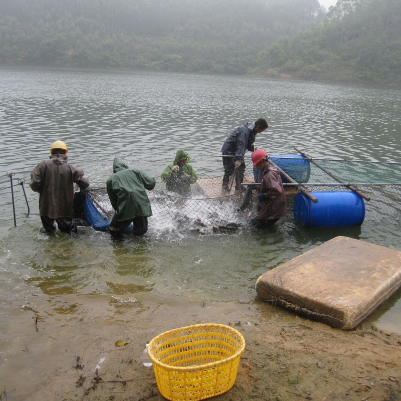 Haiding Breeding Base