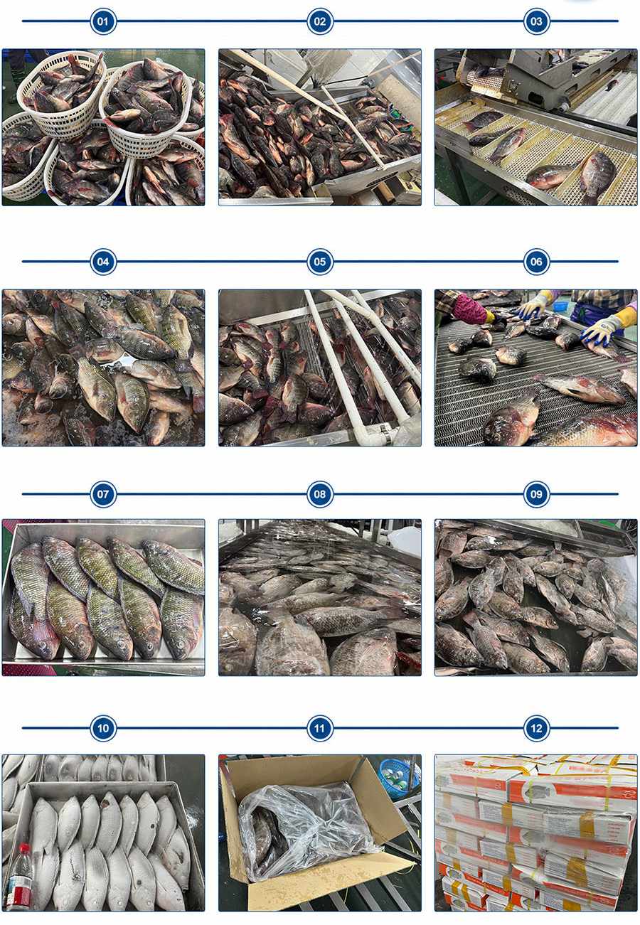 Frozen fish Production Process Frozen fish Production Process