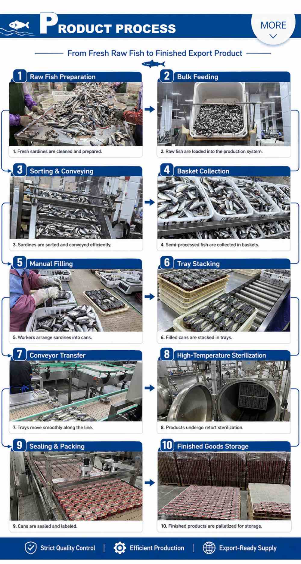 Canned Mackerel Production Line Canned Mackerel Production Line